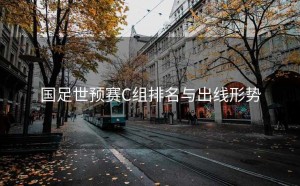 国足世预赛C组排名与出线形势