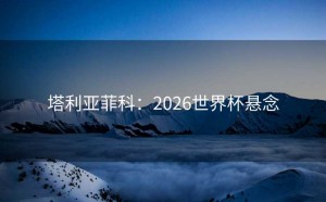 塔利亚菲科：2026世界杯悬念