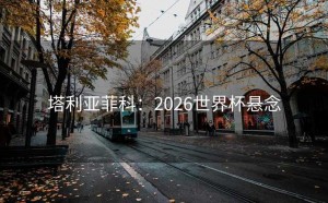 塔利亚菲科：2026世界杯悬念