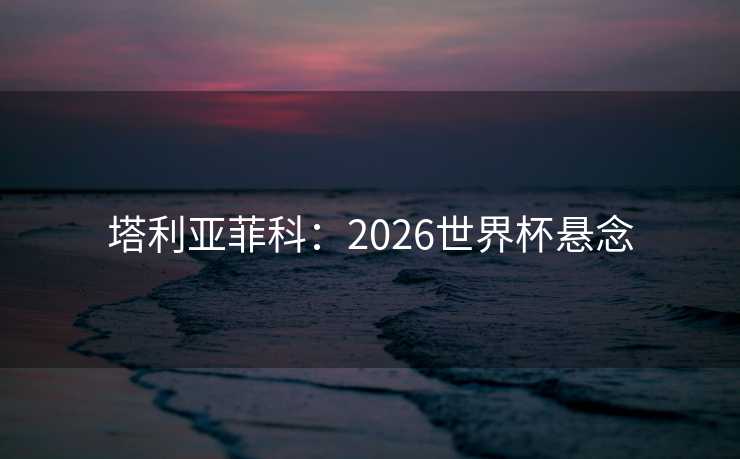 塔利亚菲科：2026世界杯悬念